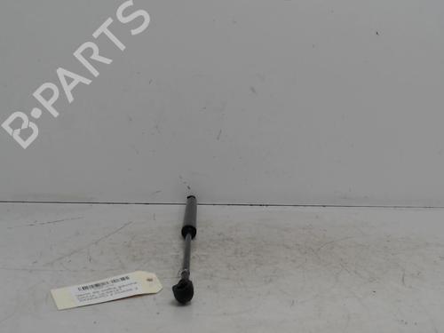 Tailgate lift support DACIA SANDERO II | BP36739012C138 - Image 3