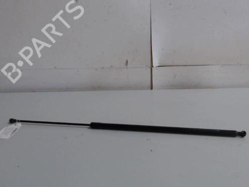 tailgate-lift-support-renault-kangoo-express-fw01_-2008-36734709 main image