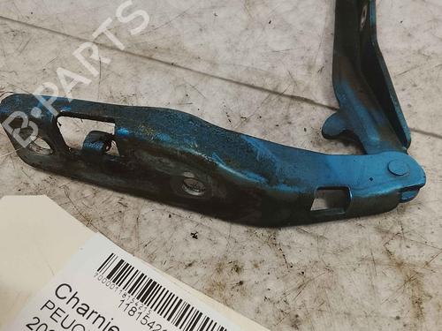 Used Hinge/Door check strap Hinge/Door check strap PEUGEOT 206 Hatchback (2A/C) 2.0 HDI 90 (90 hp) 36712484 36712484
