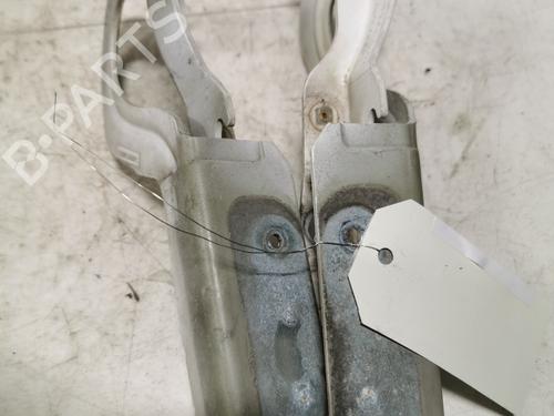 hingedoor-check-strap-citroen-jumpy-ii-van-2007-2008-2009-2010-2011-2012-2013-2014-2015-2016-36719088 main image