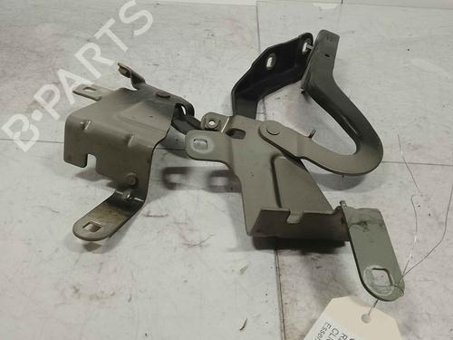 hingedoor-check-strap-renault-clio-iv-bh_-2012-2013-2014-2015-2016-2017-2018-2019-2020-2021-36712378 main image