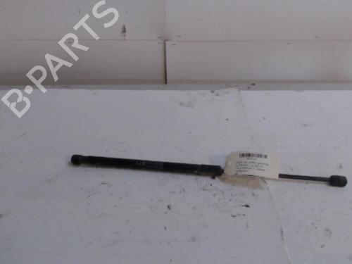 tailgate-lift-support-citroen-c4-ii-nc_-2009-36729428 main image