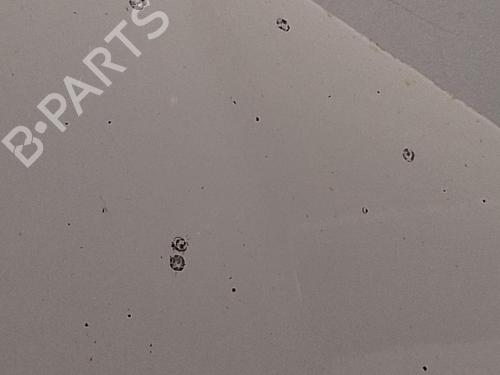 Panser Panser BMW 3 (E90) 318 d (122 hp) 37628661 37628661
