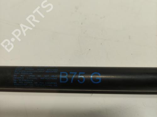 tailgate-lift-support-citroen-ds4-nx_-2011-2012-2013-2014-2015-36704562 main image