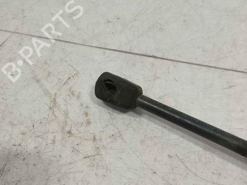 tailgate-lift-support-ford-c-max-ii-dxacb7-dxaceu-2010-2011-2012-2013-2014-2015-2016-2017-2018-2019-36713143 main image