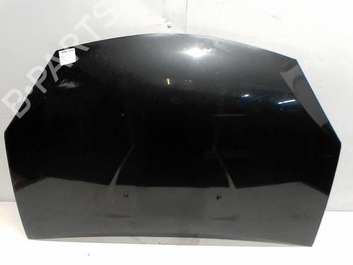 hood-dacia-sandero-2008-36704470 main image