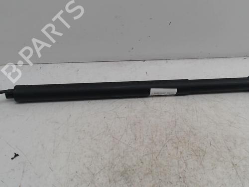 tailgate-lift-support-ds-ds-7-crossback-j4_-jr_-jc_-2017-36742483 main image