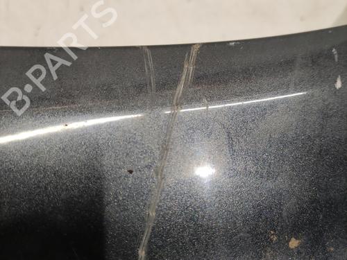 left-front-fenders-renault-scenic-ii-jm01_-2003-2004-2005-2006-2007-2008-2009-2010-36705406 main image