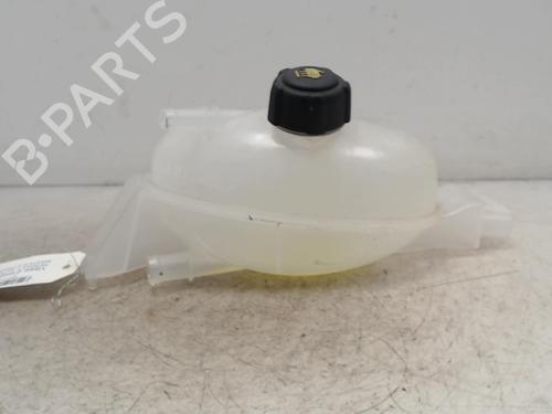 Ekspansjonstank Ekspansjonstank RENAULT MASTER III Van (FV) [2010-2026] 36746530 36746530