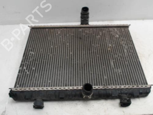 Used Water radiator Water radiator PEUGEOT EXPERT Van (VF3A_, VF3U_, VF3X_) [2007-2026] 36743382 36743382