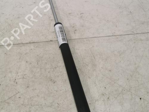 Used Tailgate lift support Tailgate lift support RENAULT CLIO II (BB_, CB_) [1998-2016] 36717277 36717277