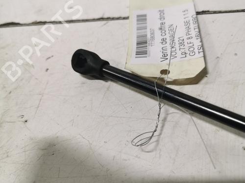 Tailgate lift support VW GOLF VIII (CD1, DA1) 1.5 eTSI | BP36708737C138 - Image 3