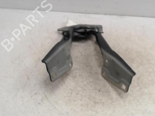 hingedoor-check-strap-renault-megane-iii-hatchback-bz01_-b3_-2008-36744303 main image