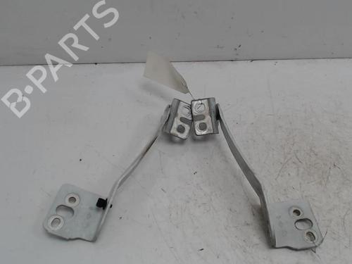 hingedoor-check-strap-renault-kangoo-express-fw01_-2008-36741585 main image