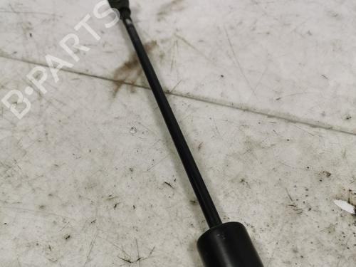 tailgate-lift-support-peugeot-rifter-2018-36710645 main image