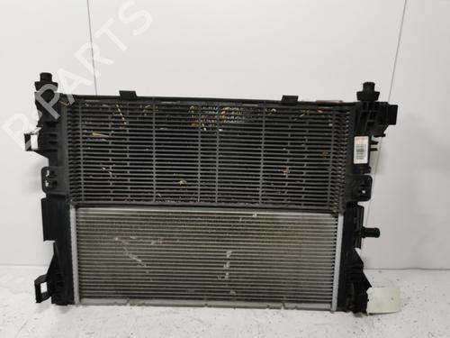 water-radiator-renault-zoe-bfm_-2012-39584501 main image