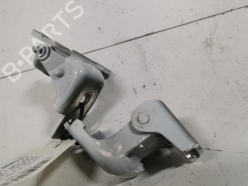 hingedoor-check-strap-renault-captur-i-j5_-h5_-2013-36720321 main image