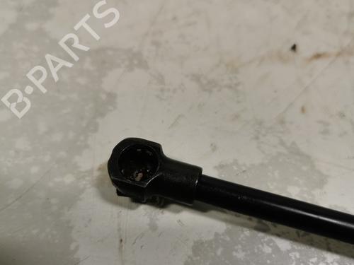 tailgate-lift-support-renault-twingo-ii-cn0_-2007-39663609 main image