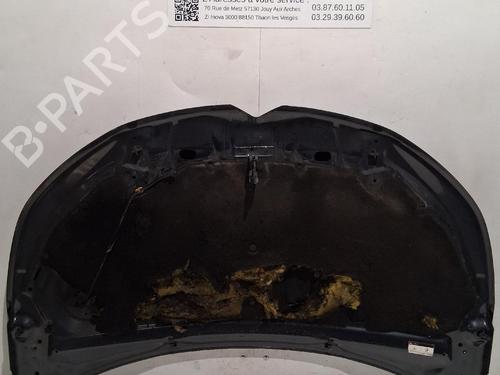 cofano-anteriore-citroen-c4-ii-nc_-2009-39688742 main image