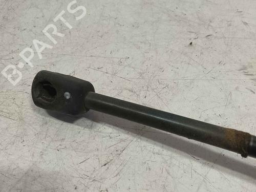 tailgate-lift-support-ford-c-max-ii-dxacb7-dxaceu-2010-2011-2012-2013-2014-2015-2016-2017-2018-2019-36713144 main image