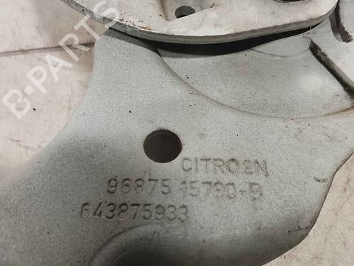 hingedoor-check-strap-citroen-c4-ii-nc_-2009-36714108 main image