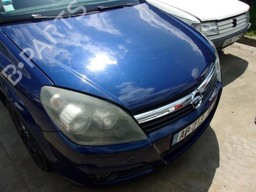 - Image 7