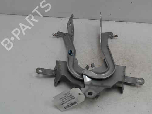 hingedoor-check-strap-renault-scenic-iii-jz01_-2008-2009-2010-2011-2012-2013-2014-2015-2016-36742396 main image