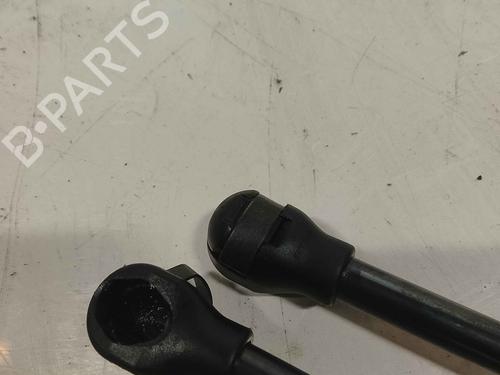 hood-lift-support-renault-kangoo-express-fw01_-2008-36715856 main image