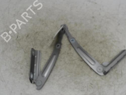 hingedoor-check-strap-dacia-lodgy-js_-2012-36745881 main image