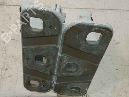 hingedoor-check-strap-renault-kangoo-express-fw01_-2008-36716155 main image
