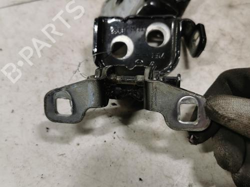 hingedoor-check-strap-dacia-duster-hs_-2010-2011-2012-2013-2014-2015-2016-2017-2018-36717611 main image