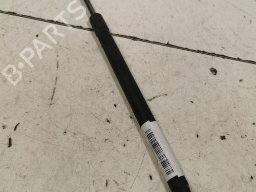 Used Tailgate lift support Tailgate lift support 36707030 36707030