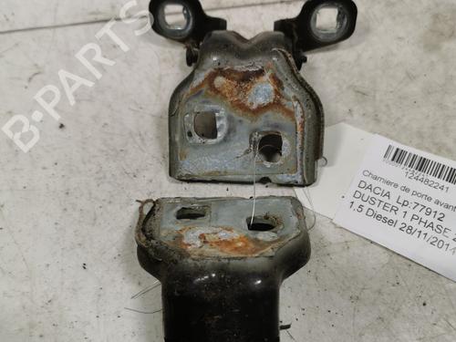 hingedoor-check-strap-dacia-duster-hs_-2010-2011-2012-2013-2014-2015-2016-2017-2018-36717610 main image