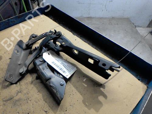 hingedoor-check-strap-vw-golf-vi-5k1-2008-2009-2010-2011-2012-2013-2014-36749780 main image