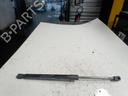 tailgate-lift-support-dacia-duster-hs_-2010-2011-2012-2013-2014-2015-2016-2017-2018-36741214 main image