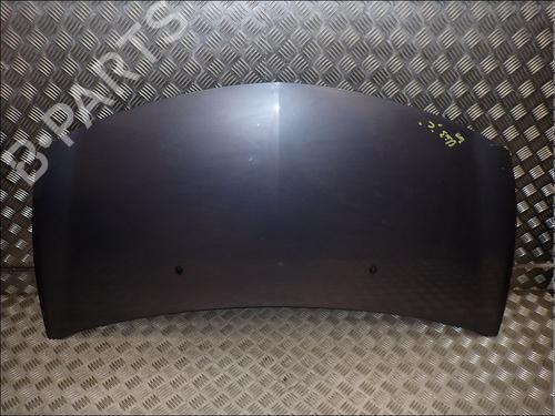 hood-renault-clio-iii-br01-cr01-2005-2006-2007-2008-2009-2010-2011-2012-2013-2014-34031932 main image