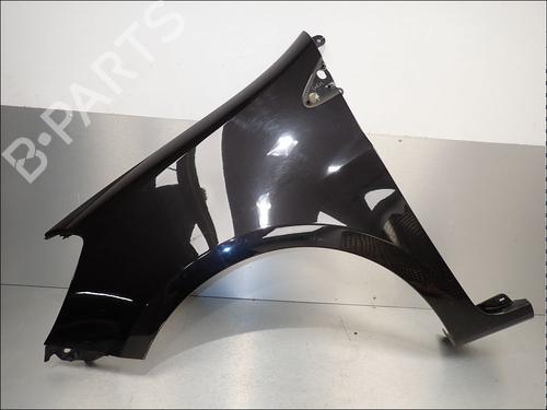left-front-fenders-renault-clio-iii-br01-cr01-2005-2006-2007-2008-2009-2010-2011-2012-2013-2014-34016261 main image