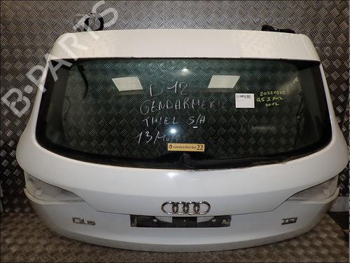 Used Tailgate Tailgate AUDI Q5 (8RB) 3.0 TDI quattro (245 hp) 34018639 34018639