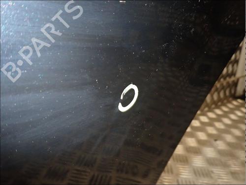 Dør venstre bagtil DACIA SANDERO 1.5 dCi | BP34030007C4 - Image 3