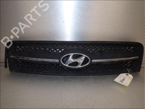 Grill Grill HYUNDAI TUCSON (JM) 2.0 CRDi All-wheel Drive (140 hp) 34021230 34021230