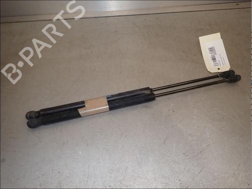 tailgate-lift-support-peugeot-307-break-3e-2002-2003-2004-2005-2006-2007-2008-2009-34013125 main image