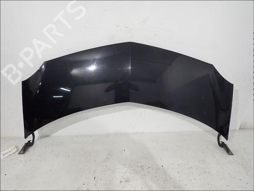 hood-renault-modus-grand-modus-fjp0_-2004-34020187 main image