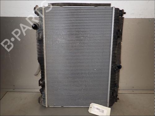 Used Water radiator Water radiator FORD FIESTA VI (CB1, CCN) 1.0 EcoBoost (100 hp) 34033839 34033839