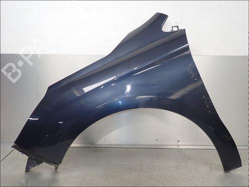 left-front-fenders-citroen-c4-ii-nc_-2009-34014631 main image