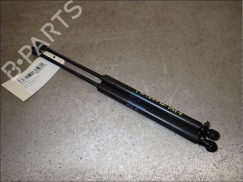 tailgate-lift-support-renault-twingo-ii-cn0_-2007-34022393 main image