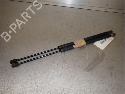 tailgate-lift-support-renault-grand-scenic-ii-jm01_-2004-2005-2006-2007-2008-2009-34016651 main image