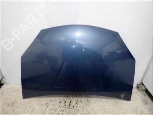 Capot Capot DACIA SANDERO 1.6 (BS0D, BS0B, BS0F, BS0H) (87 hp) 34023610 34023610