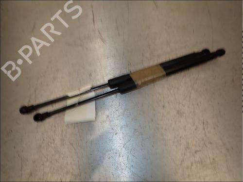 tailgate-lift-support-renault-twingo-ii-cn0_-2007-34013767 main image