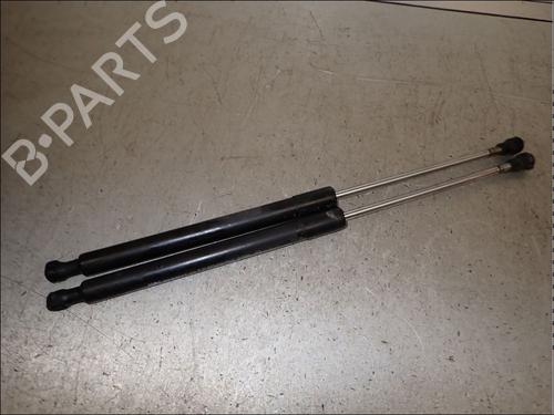 tailgate-lift-support-renault-clio-iii-br01-cr01-2005-2006-2007-2008-2009-2010-2011-2012-2013-2014-34205498 main image