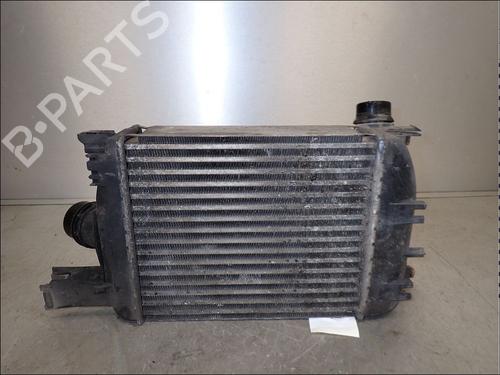 Intercooler DACIA DOKKER Box Body/MPV 1.5 dCi 75 / Blue dCi 75 (FEJW, FEAH) | BP34024550M30 - Image 2